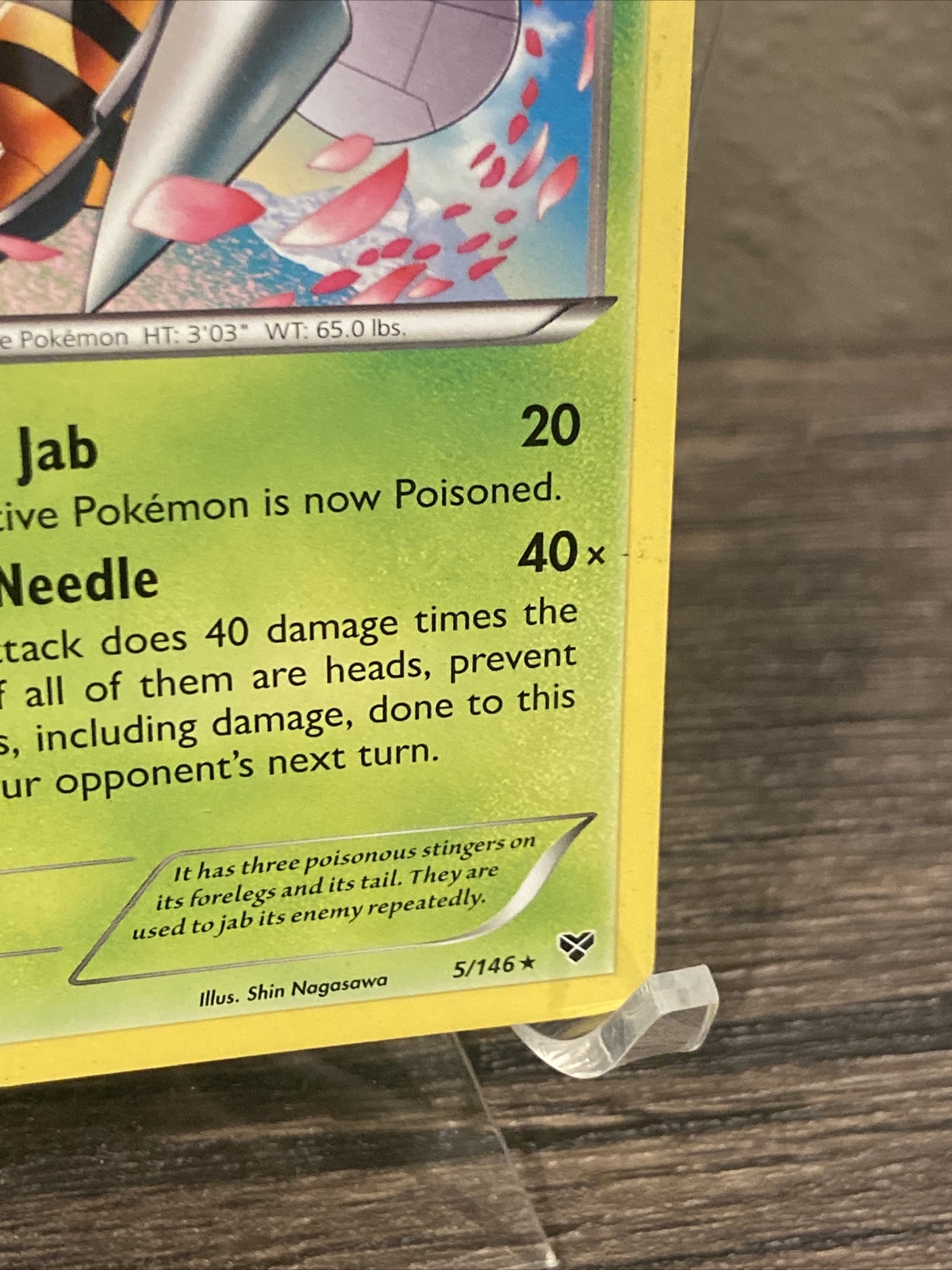 Pokémon TCG Beedrill - 5/146 - Rare - Lightly Played - XY (Base Set ...
