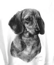 Charcoal Smooth  Dachshund Sweatshirt /LS Tshirt  Sizes/Colors                  
