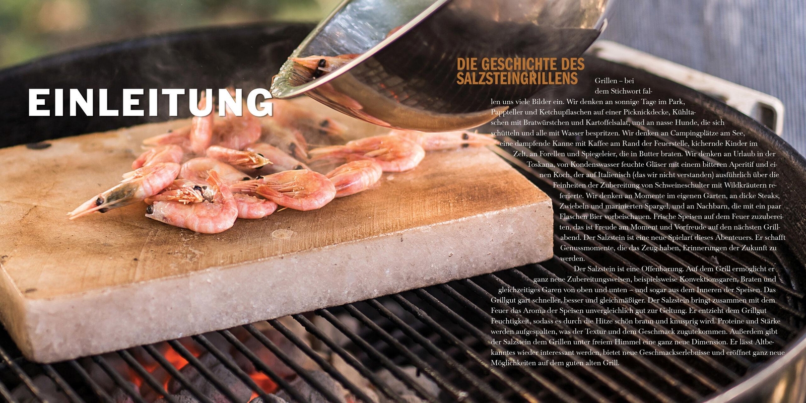 Thumbnail - Grillen Auf Dem Salzstein - Das Einsteigerbuch Die Besten Rezepte Vom