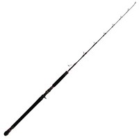 Hearty Rise 1,63M Monster Speed Jigging 420G - Baitcastrute, Angelrute FüRs Meer