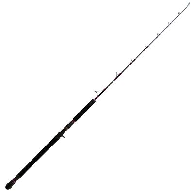 Hearty Rise 1,63m Monster Speed Jigging 420g - Baitcastrute, Angelrute fürs Meer