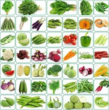 Aero Seeds 45 Variety (3500+ seeds) Of Vegetable Seeds - Free Shipping