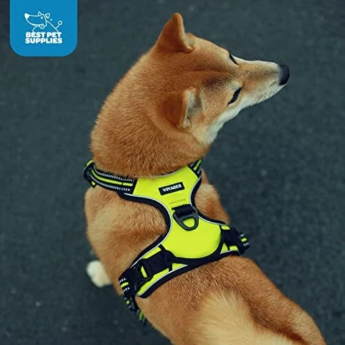 Dog Harness Dual Leash Attachment No-Pull Control Adjustable Soft but Strong ...