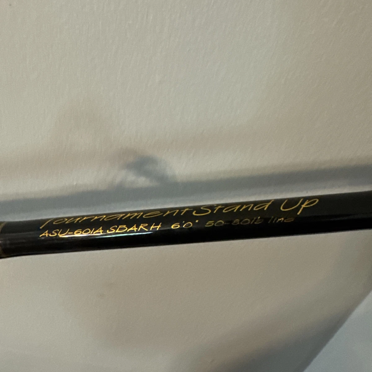 ANDE Saltwater Fishing Rods & Poles for sale | eBay