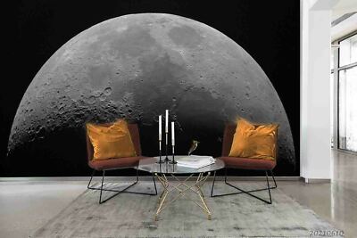 3D Planet Black Self-adhesive Removable Wallpaper Murals Wall 579