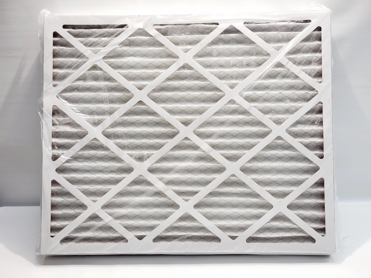 True blue sale pleated air filter
