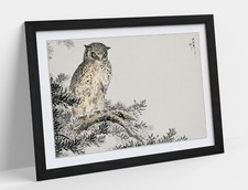 NUMATA KASHU, JAPANESE SCOPS OWL AND FIR -FRAMED ART PICTURE PAPER PRINT