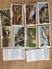 Sunlight Soap Cards - British Birds and their Nests - 1961 - Pick Your Cards