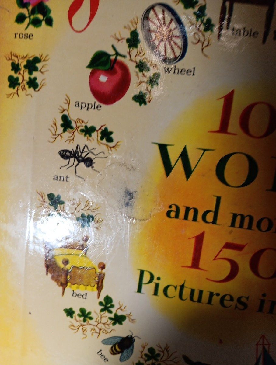 Vintage Golden Dictionary 1944 Giant Golden Book 1030 words more