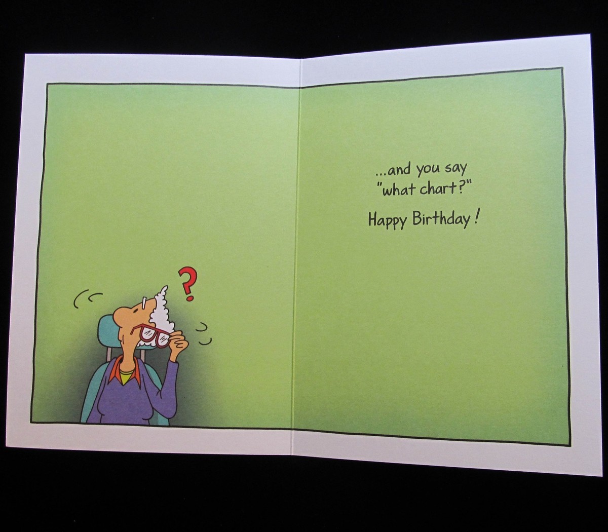 Oatmeal Studios Greeting Card Birthday Humor Funny Older Multi