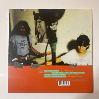 THE FLAMING LIPS This Here Giraffe RSD 10