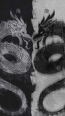 METALLPLATTE Drache Ying Yang 30 X 20 CM