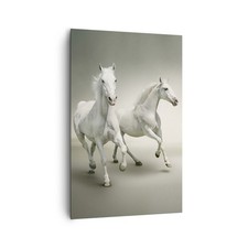Quadro su Tela 80x120cm Animali arabo cavallo fattoria Stampe Immagini Murale