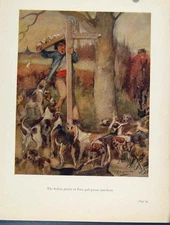 Original Old Antique Print Italian Plaster Parise Poll Parrot Merchant Dogs Sign