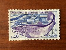 TAAF Yvert Num 71 ** MNH Faune saumon fish poisson ANNEE 1977