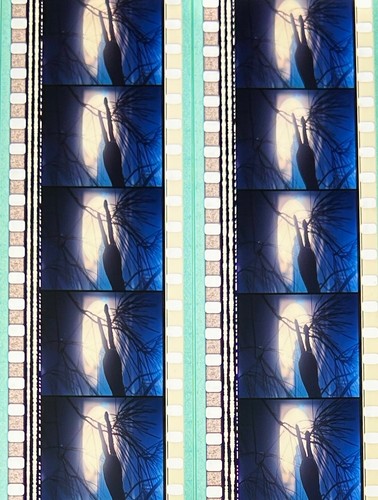 E.T. The Extra-Terrestrial 1982 Very Rare Genuine Unmounted 35mm Film Cells - Picture 62 of 111