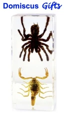 4 3/8" NEW! REAL BROWN SCORPION Black TARANTULA Insect Office PAPERWEIGHT Decor