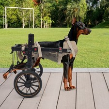 Modern Pet Rehabilitation Walking Aid, 2-wheel Dog Wheelchairs for Back Legs