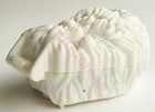 Foto 18 di 63