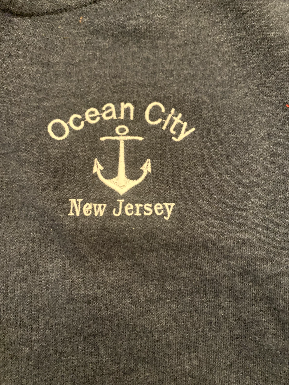 VETEMENTS Felpa con cappuccio grigia zip OCEAN CITY NJ Anchor Youth Large NUOVA