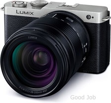 Panasonic LUMIX S9 DC-S9H-S Full-size Mirrorless SLR Camera Zoom Lens Silver