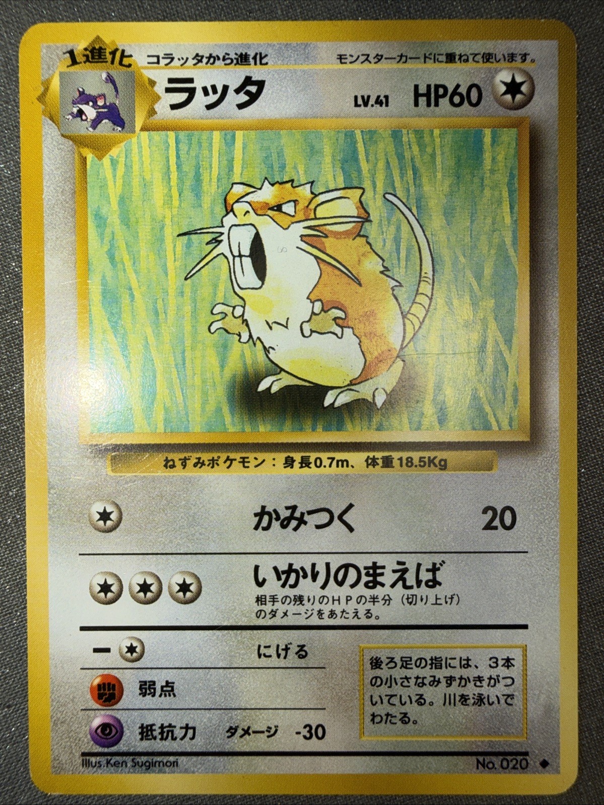 Pokemon 1996 Japanese Base Set Uncommon #020 - Raticate - LP/Played