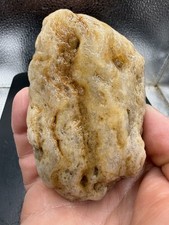 Indiana Ohio River Glacial Erratic Tumbled Beach Coral Agate 1,580 Carats