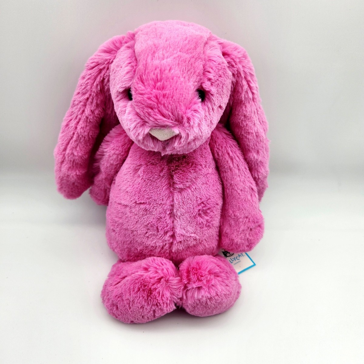  little Bashful Hot Pink Bunny 兎 Jellycat Bashful Hot Pink Bunny - Medium — Bird in Hand
