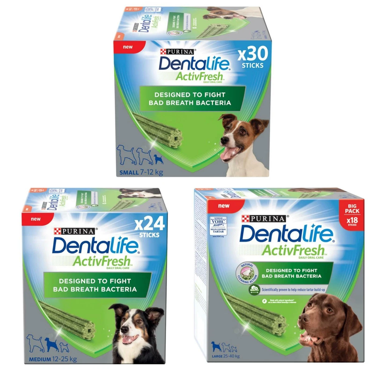 Dentalife activfresh cheap