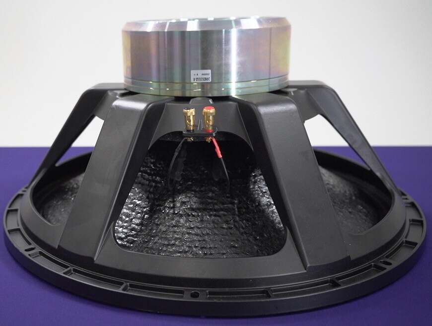 21 Inch Subwoofer 2200 Watts AES Ohm 6