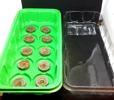 Seed Starter Kit 10 Cells Peat Pellets 25mm Nursery Tray Clear Cover Garden Fall