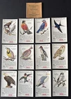 Vintage Coca-Cola Trade Cards (12) The World of Nature; Among Feathered Friends