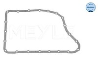 Meyle 714 139 0001 Dichtung Des Automatikgetriebes Passt Zu: Ford Focus C-MAX, F