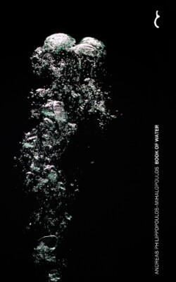 Andreas Philippopoulos-Mihalopoulos Book of Water (Taschenbuch) (US IMPORT)