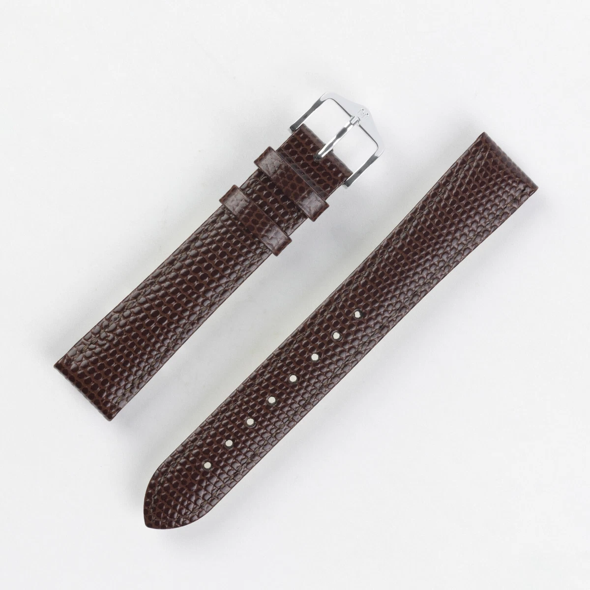Hirsch rainbow lizard new arrivals