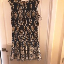 gabby skye dress 12 Petite