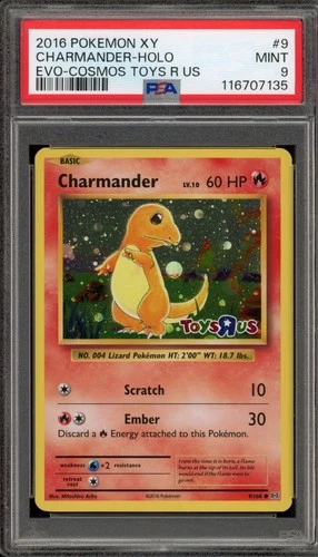 Pokemon Charmander Toys R Us XY Evolutions Cosmos Holo #9 PSA 9 Mint