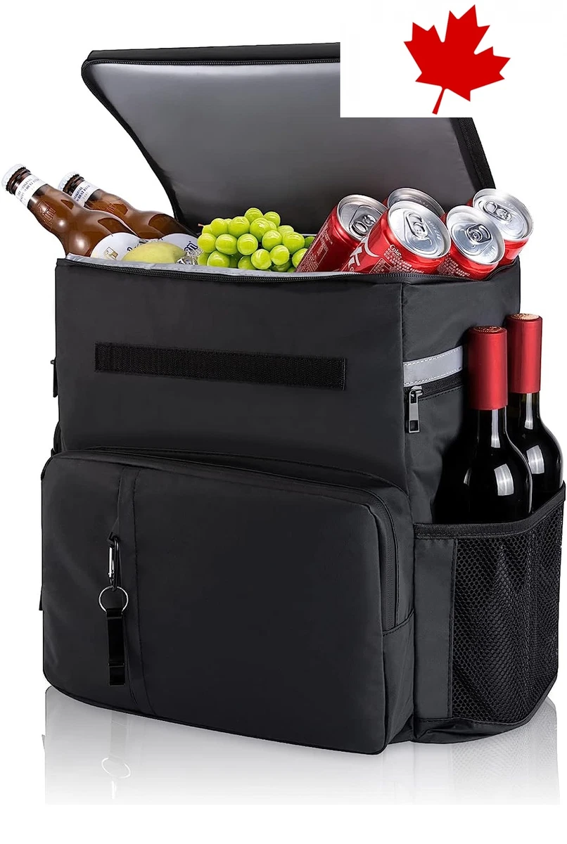 Large 2024 insulated backpack
