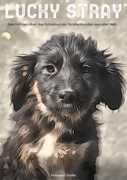 Lucky Stray | Geschichten üBer Das Schicksal Von Strassenhunden Aus Aller Welt-image