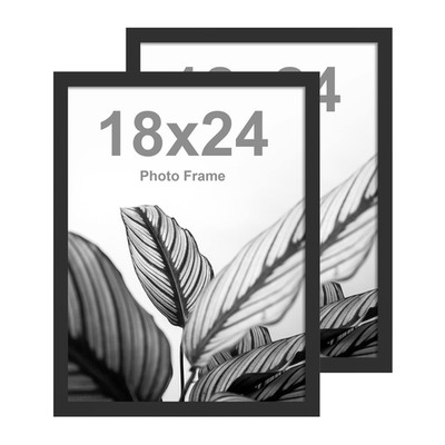 Frameworks 18X24 Wooden Poster Frame Classic Black Matte Edged Frames