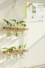 Plant Propagation Station Wall Hanging, Plant Terrarium with 2 Tiered Wooden Sta