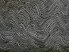 MODA  SCAPES #32821 GRAY RUFFLES BTY