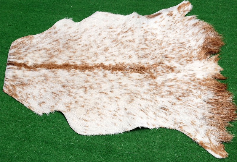 GOAT Western taxidermy Hide Rug Natural Pattern Fur Goat Hide Rode SA-1005