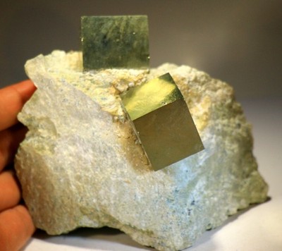 Museum 5 inch 2.2 lb Perfect Pyrite Crystals on Matrix, Spain! PY108