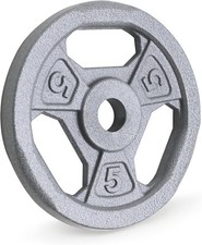 Classic 1 Inch Cast Iron Weight Plates 2.5 to 50 lbs Standard Barbell Plates