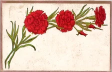 Red Carnation Flower Vintage Postcard Spc15