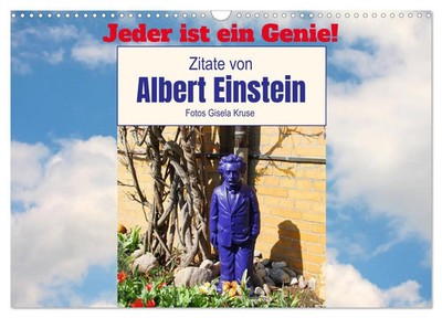 Jeder ist ein Genie! Zitate von Albert Einstein (Wandkalender 2026 DIN A3...