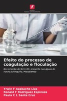 Yrwin F Azabache Liza (U. A.) | Efeito Do Processo De CoagulaçãO E FloculaçãO
