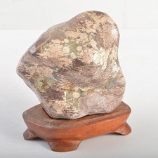 Japanese Suiseki Chrysanthemum Stone Natural Viewing Rock With wooden stand