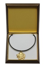 Boyero de Berna tipo 2 - collar dorado con un perro en una caja Art Dog ES
